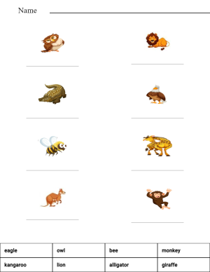 Match the words with the pictures - safari animals