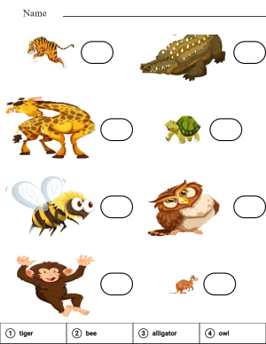 Read and match name of safari animals