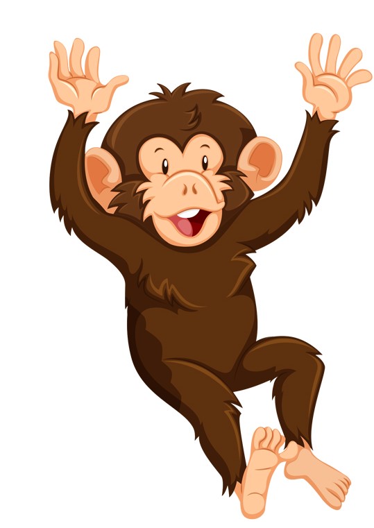 MONKEY