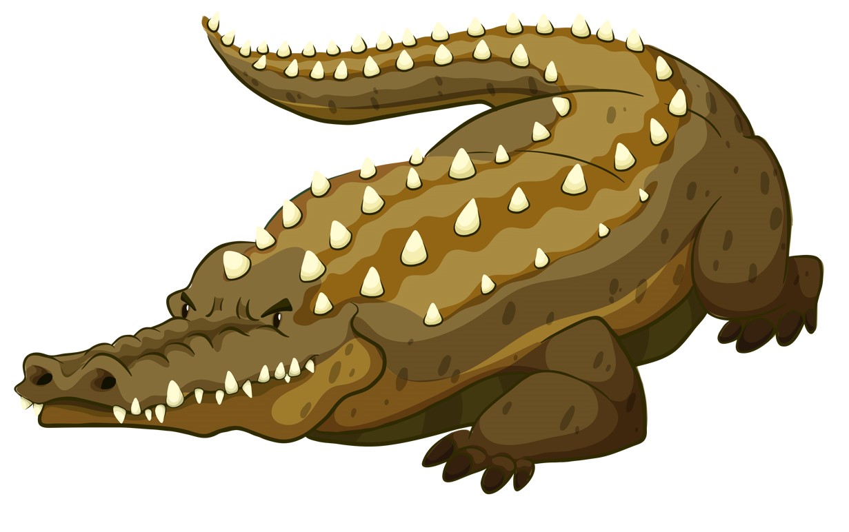 ALLIGATOR