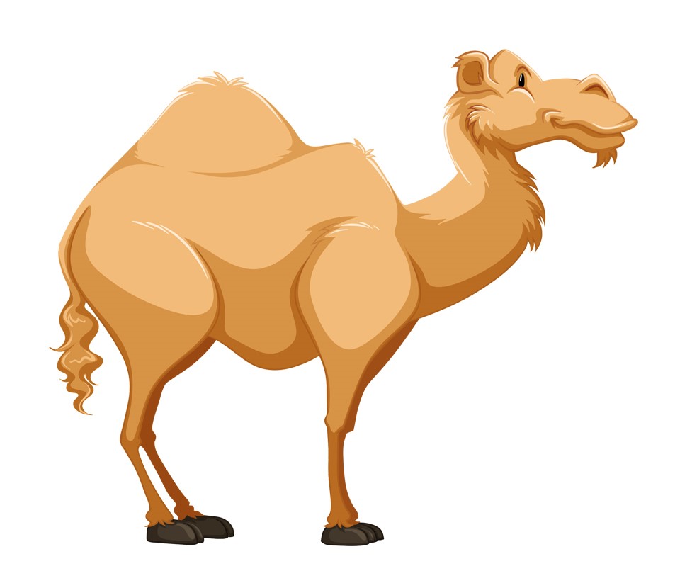 CAMEL