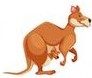 KANGAROO