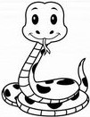 snake