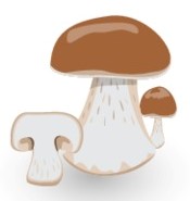 mushrooms