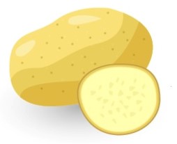 potato