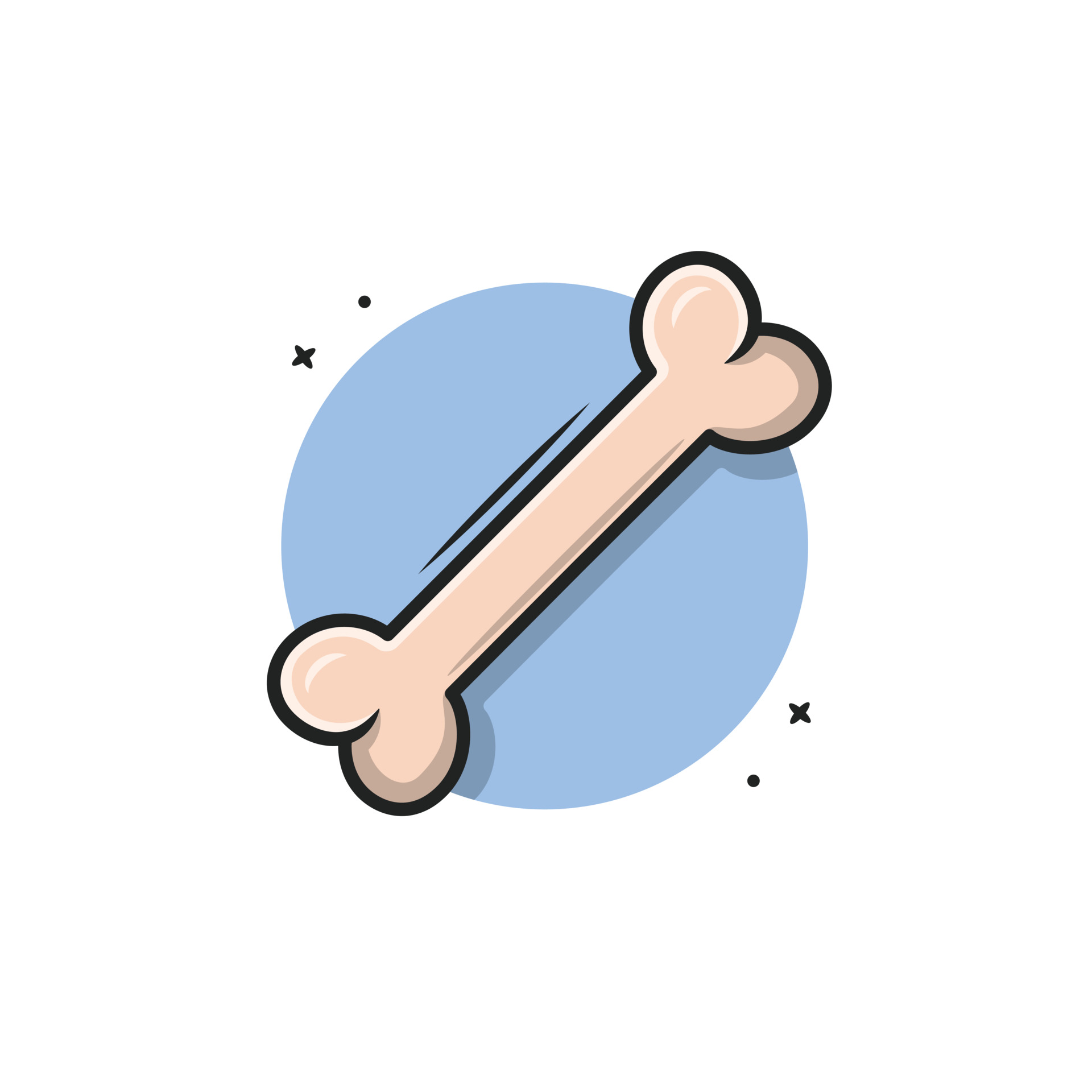 BONE