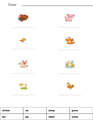 Match the words with the pictures - farm animals